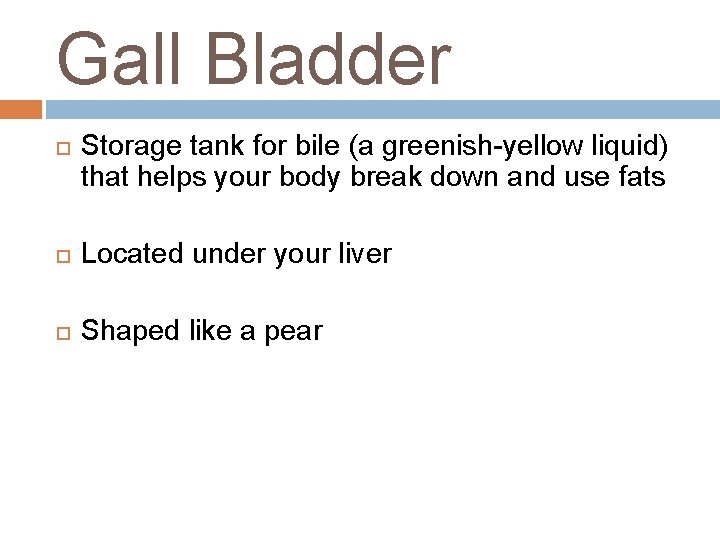 Gall Bladder Storage tank for bile (a greenish-yellow liquid) that helps your body break