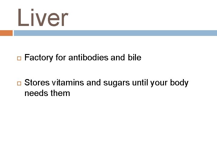 Liver Factory for antibodies and bile Stores vitamins and sugars until your body needs
