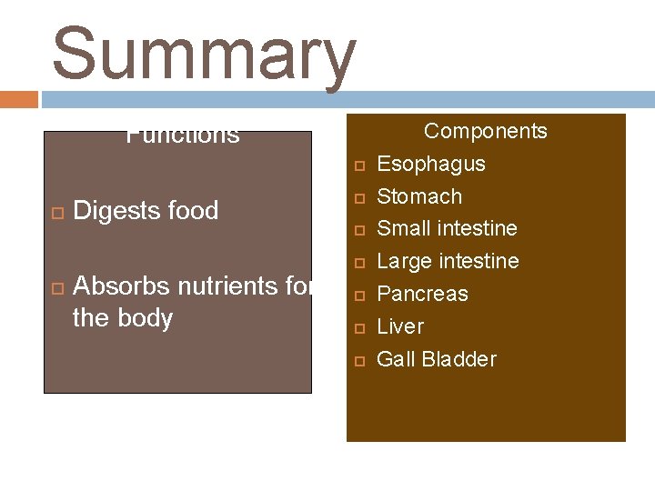 Summary Functions Digests food Absorbs nutrients for the body Components Esophagus Stomach Small intestine