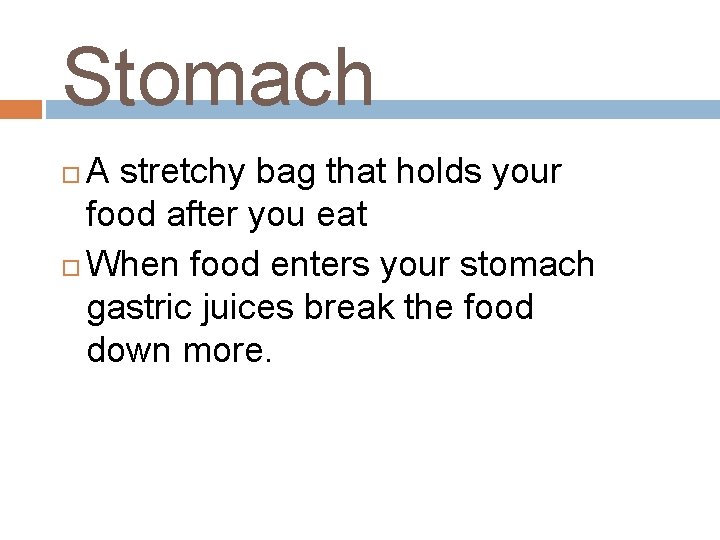 Stomach A stretchy bag that holds your food after you eat When food enters