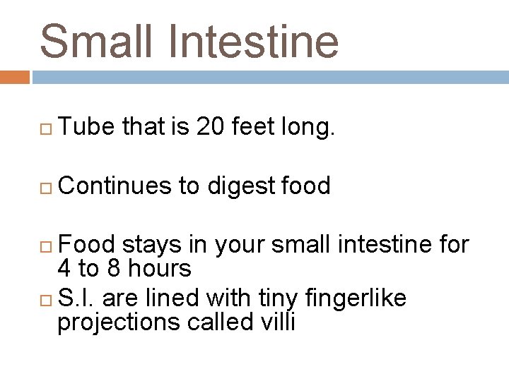 Small Intestine Tube that is 20 feet long. Continues to digest food Food stays