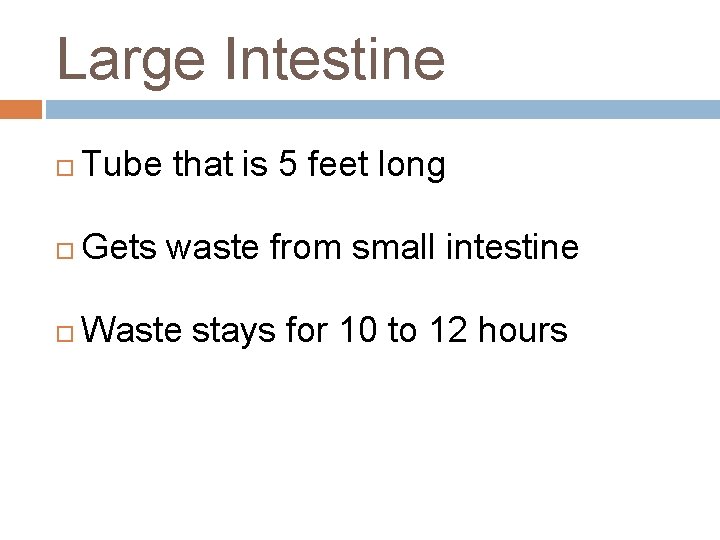 Large Intestine Tube that is 5 feet long Gets waste from small intestine Waste