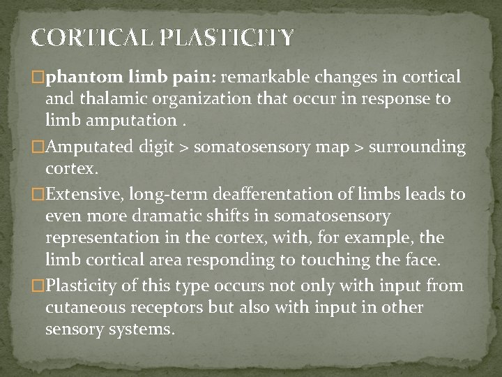 CORTICAL PLASTICITY �phantom limb pain: remarkable changes in cortical and thalamic organization that occur