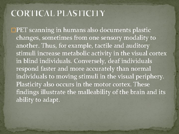 CORTICAL PLASTICITY �PET scanning in humans also documents plastic changes, sometimes from one sensory