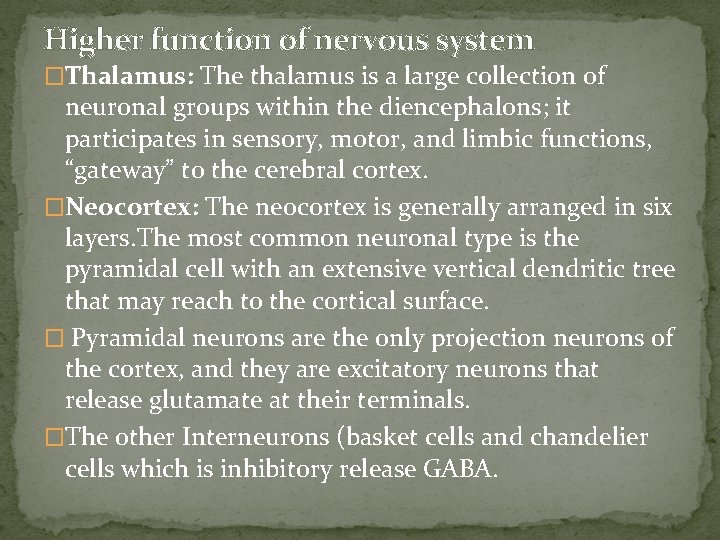 Higher function of nervous system �Thalamus: The thalamus is a large collection of neuronal