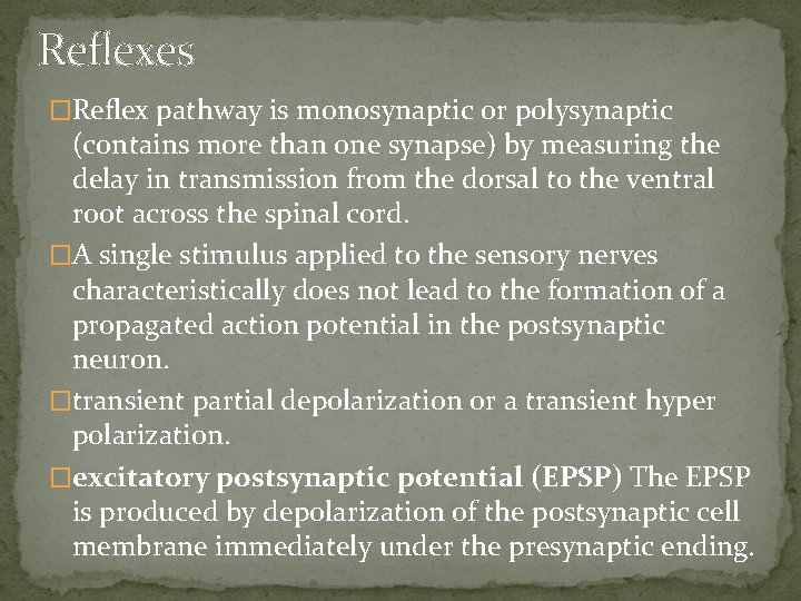 Reflexes �Reflex pathway is monosynaptic or polysynaptic (contains more than one synapse) by measuring