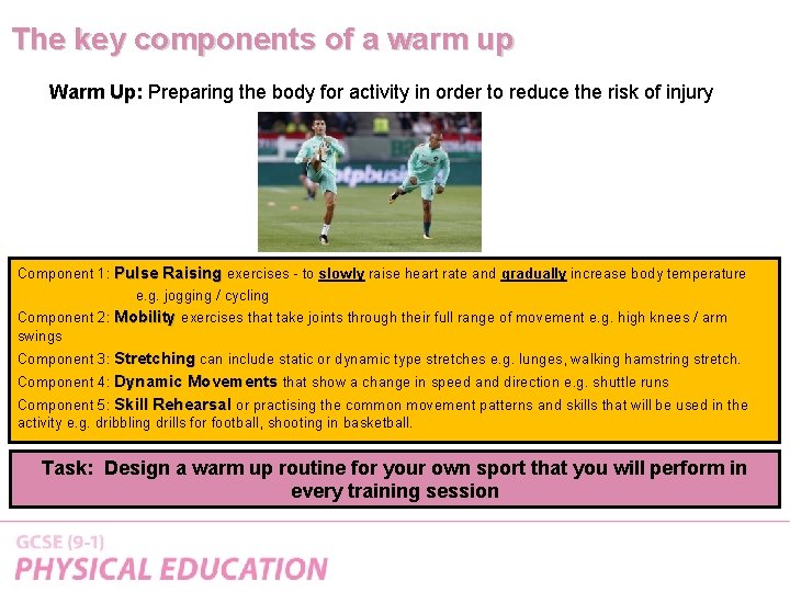 The key components of a warm up Warm Up: Preparing the body for activity The key components of a warm up Warm Up: Preparing the body for activity