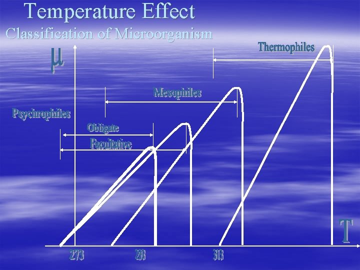 Temperature Effect Classification of Microorganism 