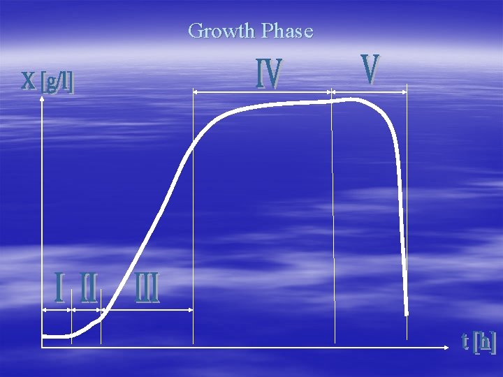 Growth Phase 