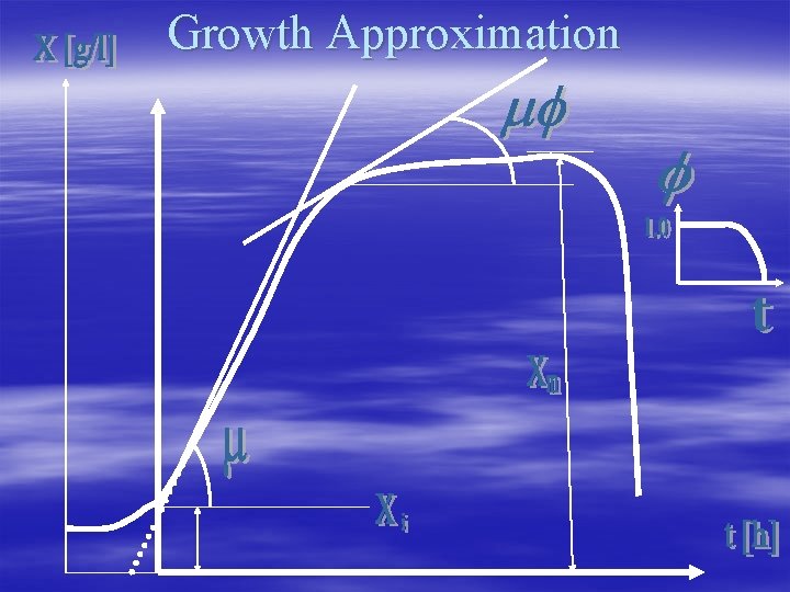Growth Approximation 