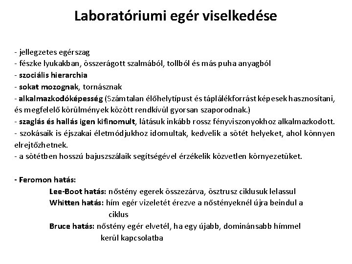 Laboratóriumi egér viselkedése - jellegzetes egérszag - fészke lyukakban, összerágott szalmából, tollból és más Laboratóriumi egér viselkedése - jellegzetes egérszag - fészke lyukakban, összerágott szalmából, tollból és más