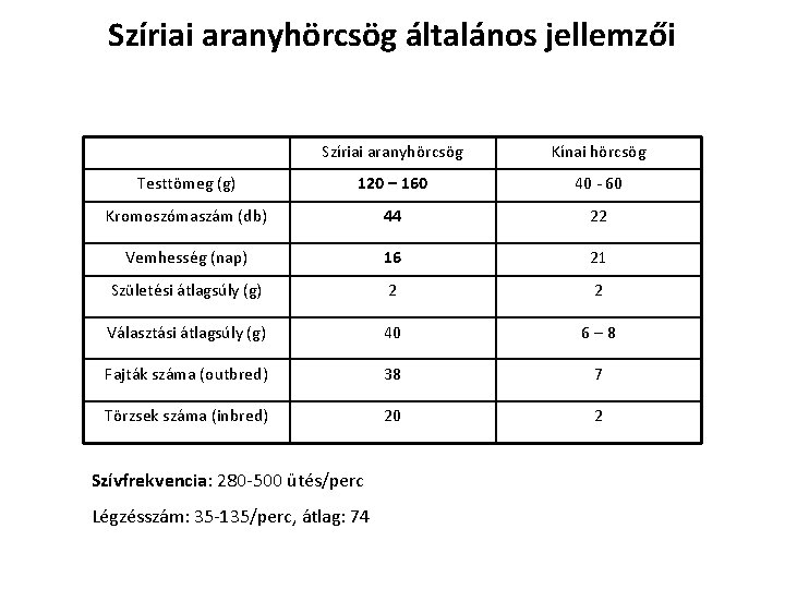 Szíriai aranyhörcsög általános jellemzői Szíriai aranyhörcsög Kínai hörcsög Testtömeg (g) 120 – 160 40 Szíriai aranyhörcsög általános jellemzői Szíriai aranyhörcsög Kínai hörcsög Testtömeg (g) 120 – 160 40