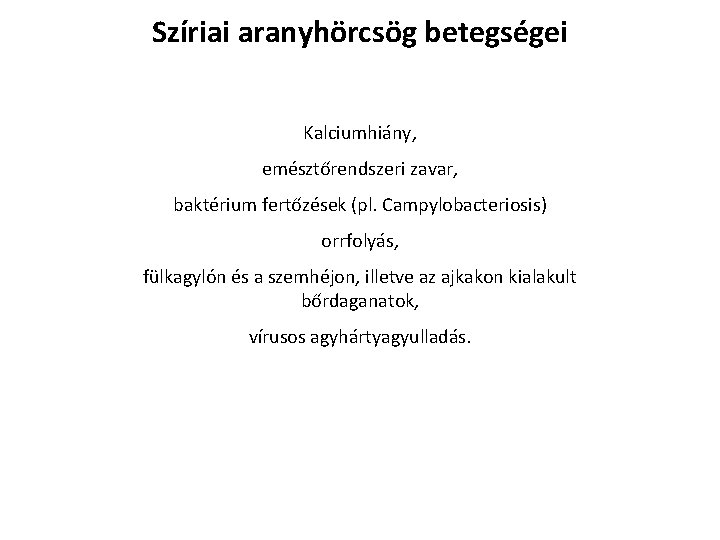 Szíriai aranyhörcsög betegségei Kalciumhiány, emésztőrendszeri zavar, baktérium fertőzések (pl. Campylobacteriosis) orrfolyás, fülkagylón és a Szíriai aranyhörcsög betegségei Kalciumhiány, emésztőrendszeri zavar, baktérium fertőzések (pl. Campylobacteriosis) orrfolyás, fülkagylón és a