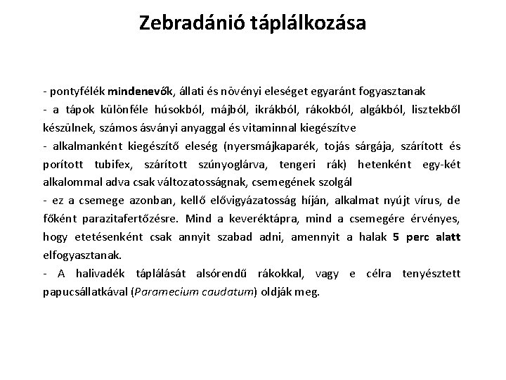Zebradánió táplálkozása - pontyfélék mindenevők, állati és növényi eleséget egyaránt fogyasztanak - a tápok Zebradánió táplálkozása - pontyfélék mindenevők, állati és növényi eleséget egyaránt fogyasztanak - a tápok