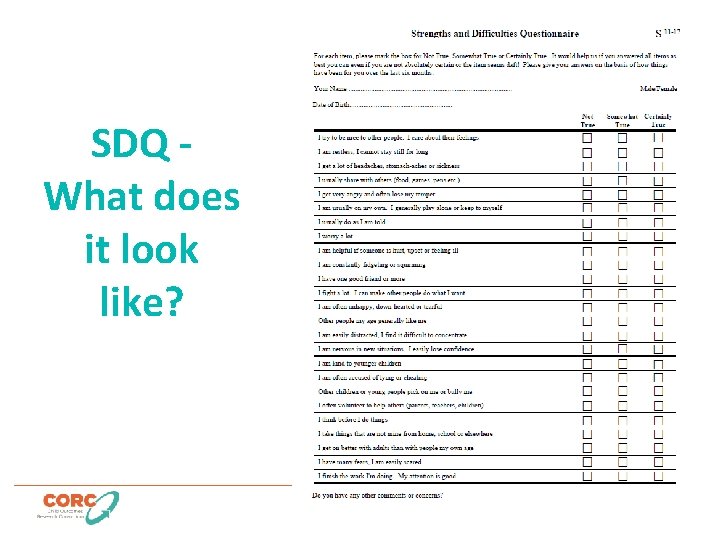 SDQ What does it look like? 