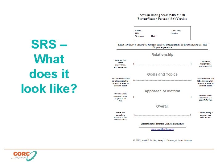 SRS – What does it look like? 