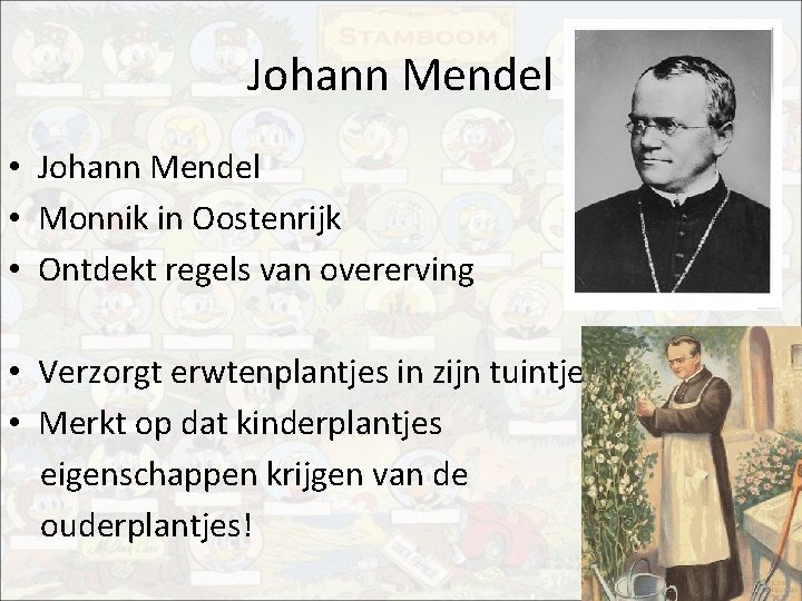 Johann Mendel • Monnik in Oostenrijk • Ontdekt regels van overerving • Verzorgt erwtenplantjes