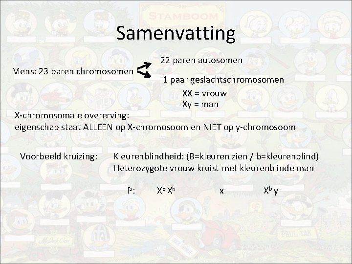 Samenvatting Mens: 23 paren chromosomen 22 paren autosomen 1 paar geslachtschromosomen XX = vrouw