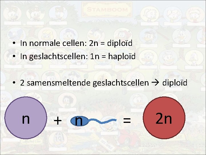  • In normale cellen: 2 n = diploïd • In geslachtscellen: 1 n