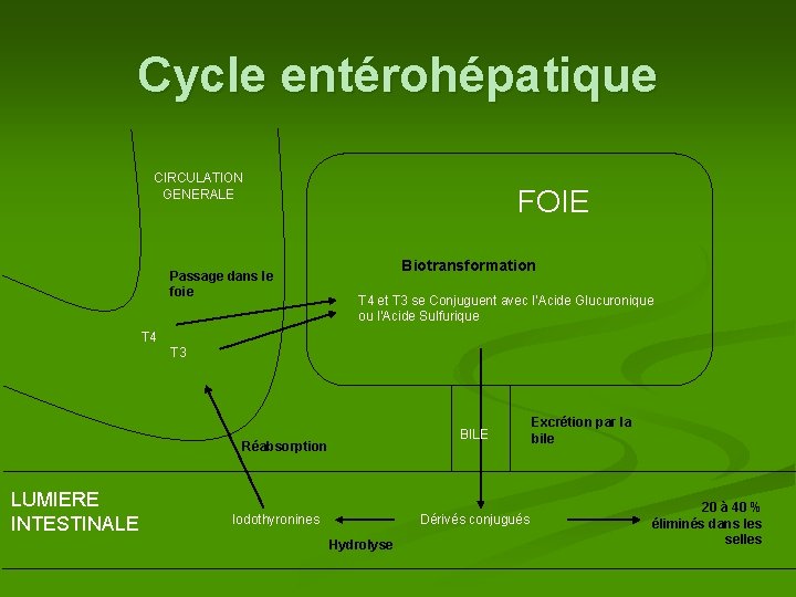 Cycle entérohépatique CIRCULATION GENERALE Passage dans le foie FOIE Biotransformation T 4 et T
