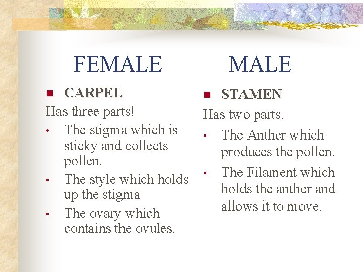  FEMALE CARPEL n STAMEN Has three parts! Has two parts. • The stigma