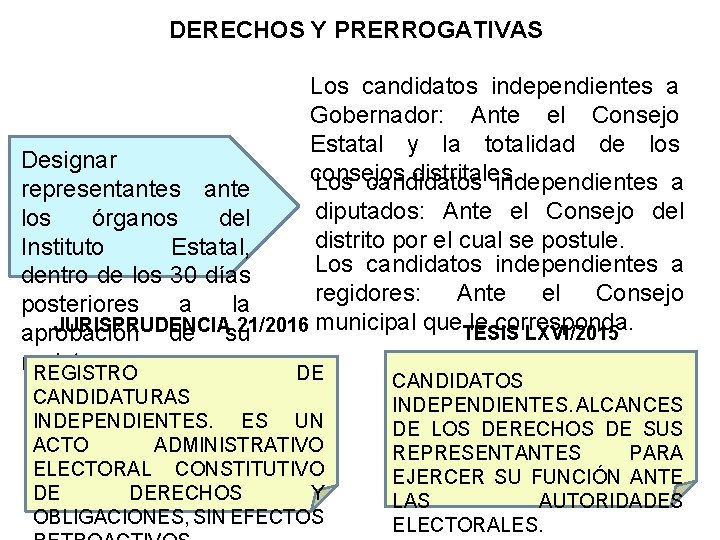 DERECHOS Y PRERROGATIVAS Los candidatos independientes a Gobernador: Ante el Consejo Estatal y la