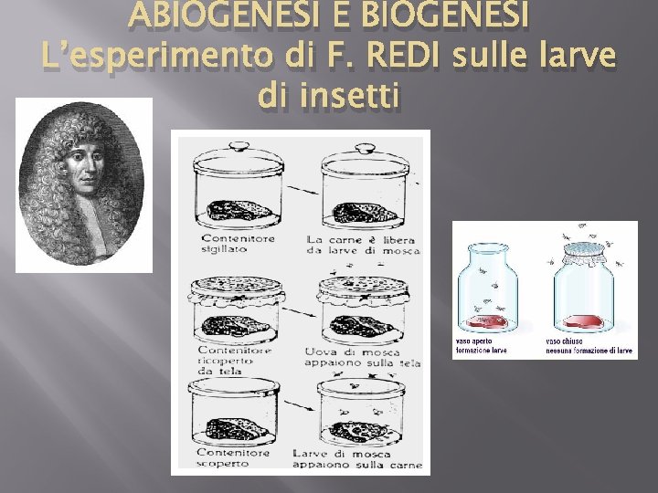 ABIOGENESI E BIOGENESI L’esperimento di F. REDI sulle larve di insetti 