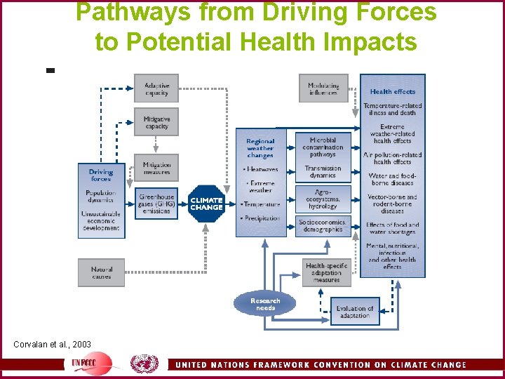 Pathways from Driving Forces to Potential Health Impacts Corvalan et al. , 2003 