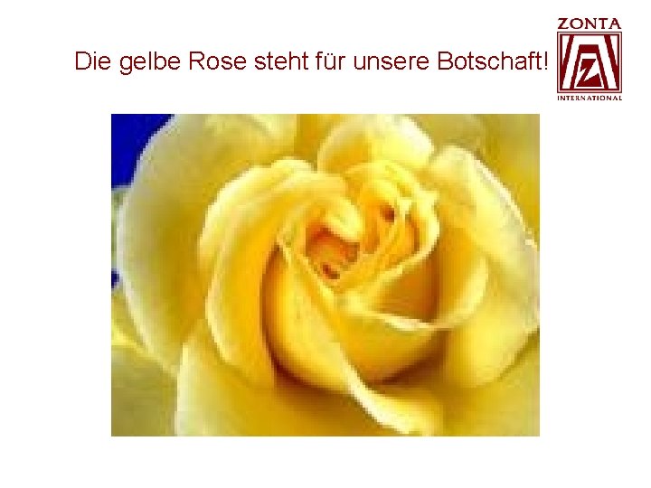 Die gelbe Rose steht für unsere Botschaft! Die gelbe Rose steht für unsere Botschaft!