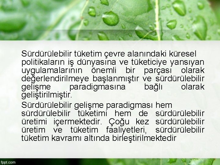 Sürdürülebilir tüketim çevre alanındaki küresel politikaların iş dünyasına ve tüketiciye yansıyan uygulamalarının önemli