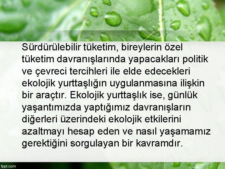 Sürdürülebilir tüketim, bireylerin özel tüketim davranışlarında yapacakları politik ve çevreci tercihleri ile elde edecekleri
