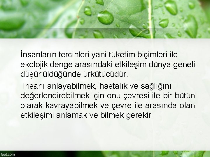 İnsanların tercihleri yani tüketim biçimleri ile ekolojik denge arasındaki etkileşim dünya geneli düşünüldüğünde ürkütücüdür.