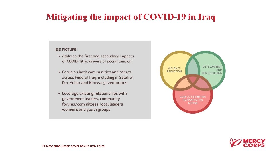 Mitigating the impact of COVID-19 in Iraq Humanitarian-Development Nexus Task Force 