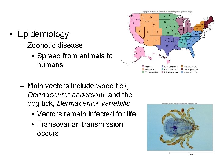  • Epidemiology – Zoonotic disease • Spread from animals to humans – Main