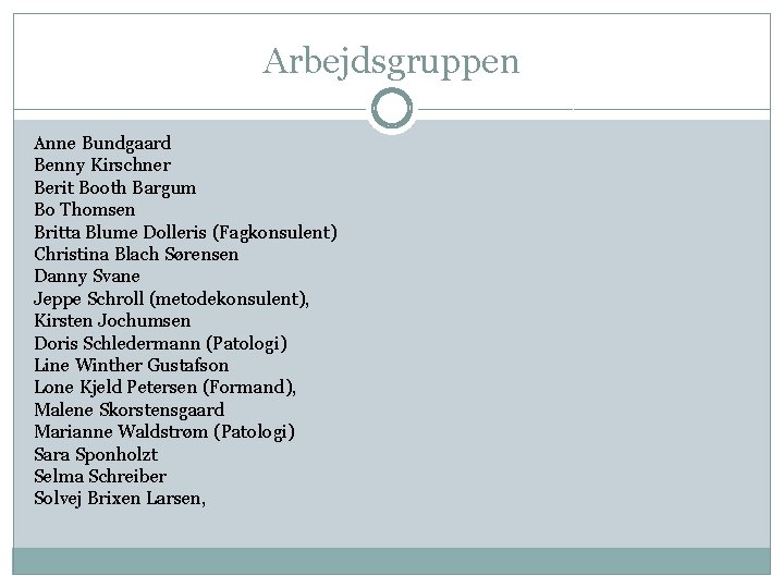 Arbejdsgruppen Anne Bundgaard Benny Kirschner Berit Booth Bargum Bo Thomsen Britta Blume Dolleris (Fagkonsulent)