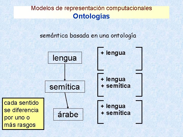 Modelos de representación computacionales Ontologías semántica basada en una ontología lengua cada sentido se