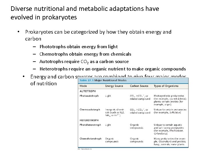 Diverse nutritional and metabolic adaptations have evolved in prokaryotes • Prokaryotes can be categorized