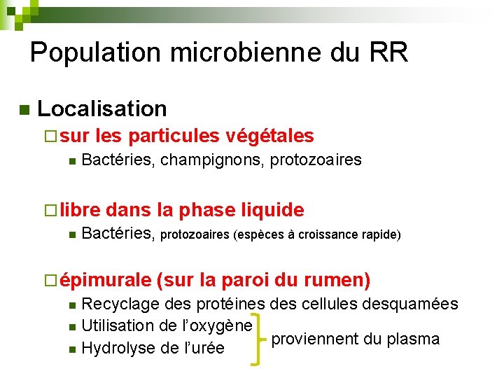 Population microbienne du RR n Localisation ¨ sur les particules végétales n Bactéries, champignons,