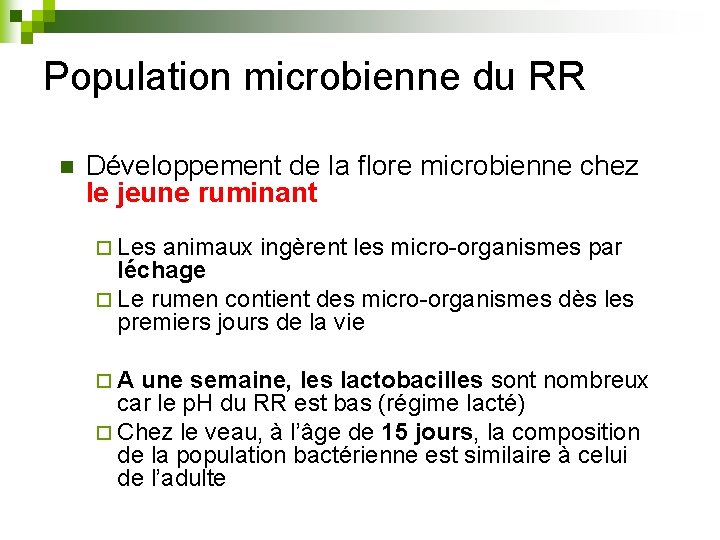 Population microbienne du RR n Développement de la flore microbienne chez le jeune ruminant