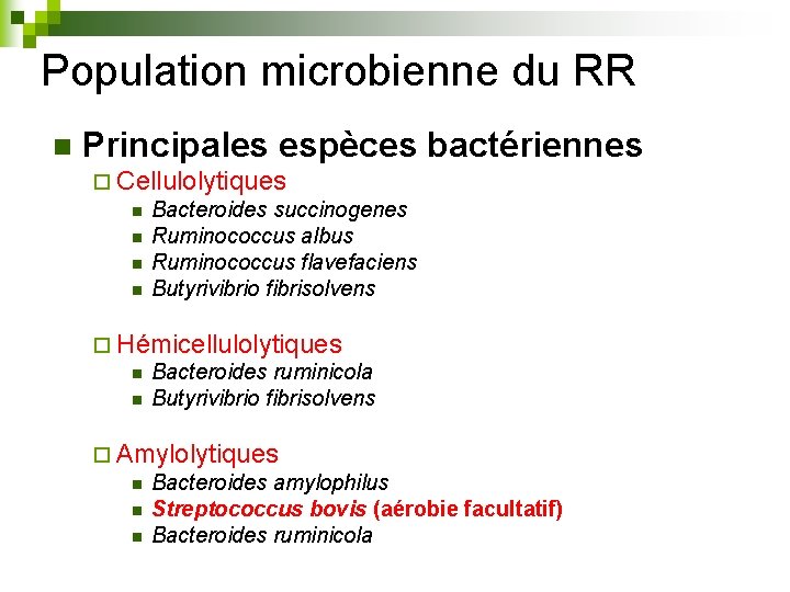 Population microbienne du RR n Principales espèces bactériennes ¨ Cellulolytiques n Bacteroides succinogenes n