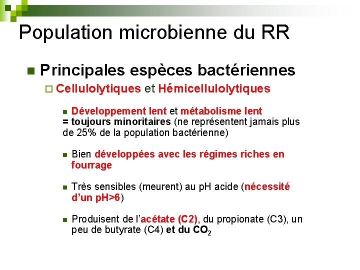 Population microbienne du RR n Principales espèces bactériennes ¨ Cellulolytiques et Hémicellulolytiques Développement lent