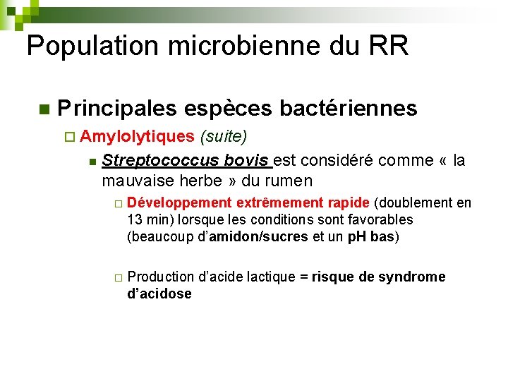 Population microbienne du RR n Principales espèces bactériennes ¨ Amylolytiques (suite) n Streptococcus bovis
