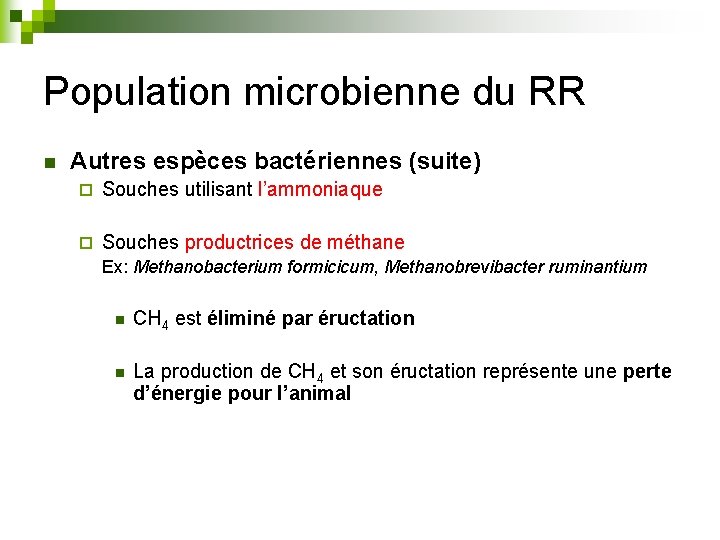 Population microbienne du RR n Autres espèces bactériennes (suite) ¨ Souches utilisant l’ammoniaque ¨