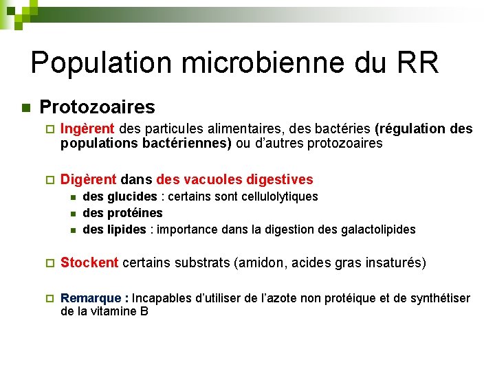 Population microbienne du RR n Protozoaires ¨ Ingèrent des particules alimentaires, des bactéries (régulation