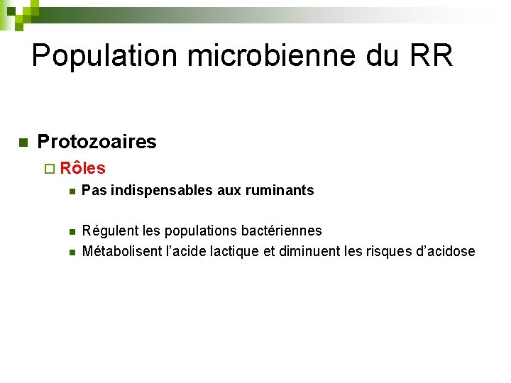 Population microbienne du RR n Protozoaires ¨ Rôles n Pas indispensables aux ruminants n