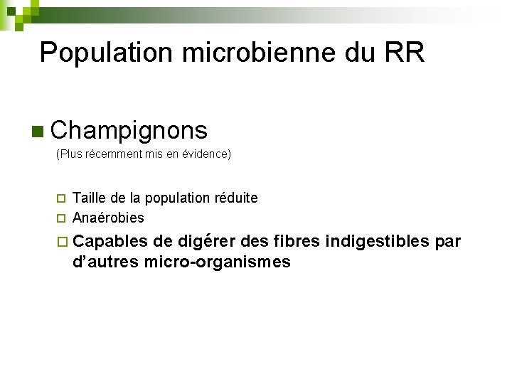 Population microbienne du RR n Champignons (Plus récemment mis en évidence) Taille de la