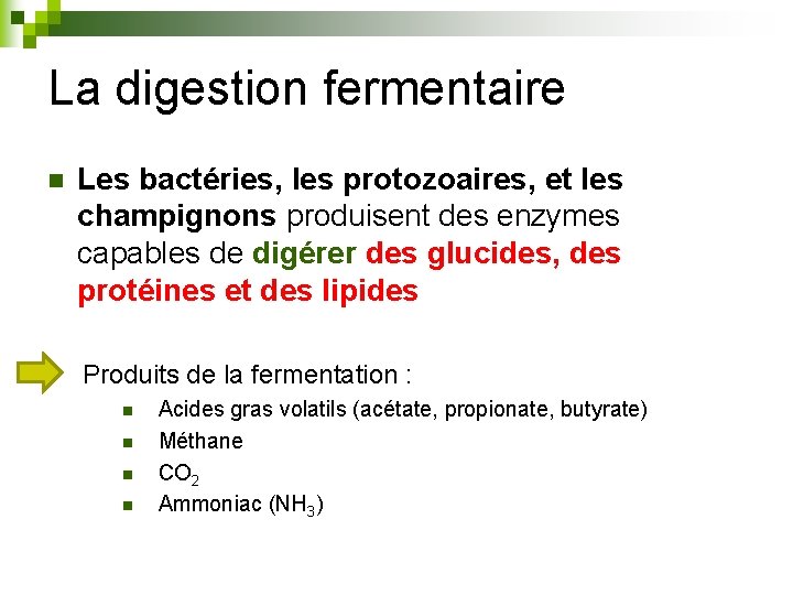 La digestion fermentaire n Les bactéries, les protozoaires, et les champignons produisent des enzymes