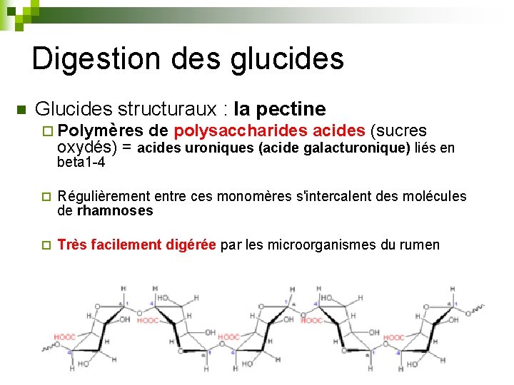 Digestion des glucides n Glucides structuraux : la pectine ¨ Polymères de polysaccharides acides