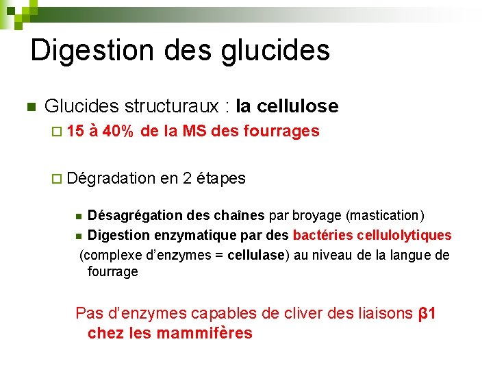 Digestion des glucides n Glucides structuraux : la cellulose ¨ 15 à 40% de