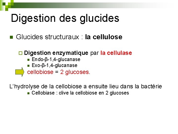 Digestion des glucides n Glucides structuraux : la cellulose ¨ Digestion enzymatique par la